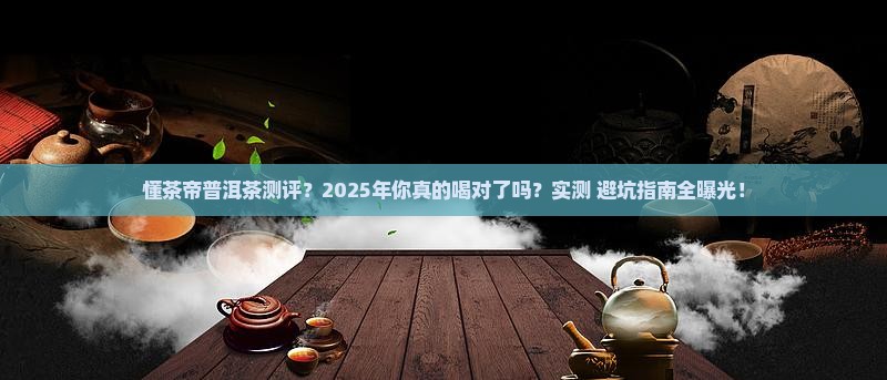 懂茶帝普洱茶测评