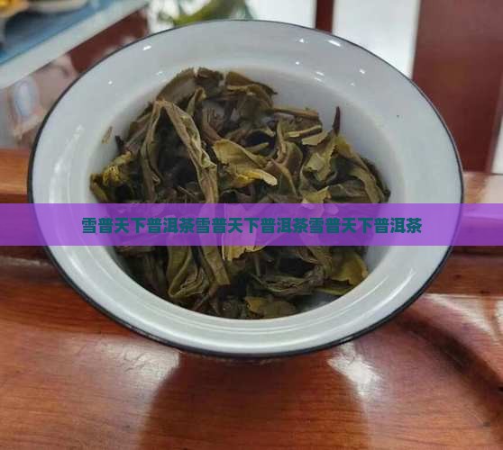 雪普天下普洱茶