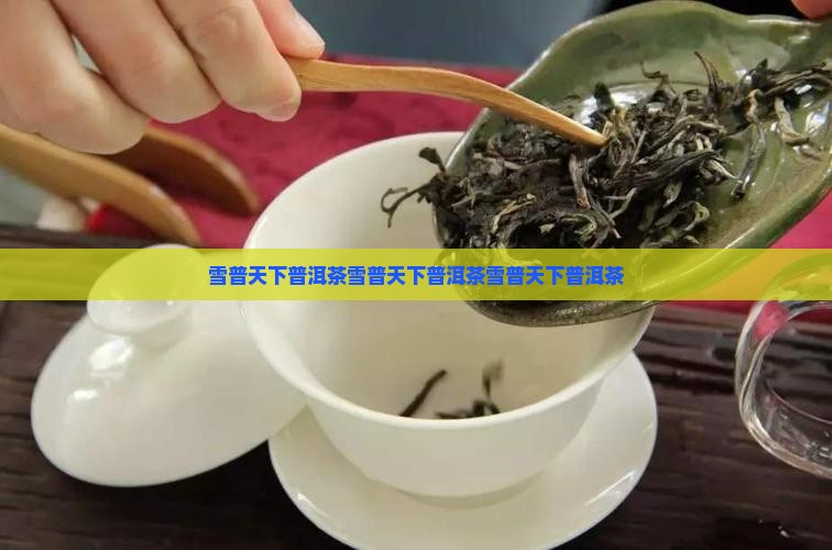 雪普天下普洱茶