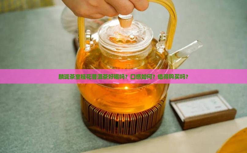 麟珑茶室桂花普洱茶好喝吗