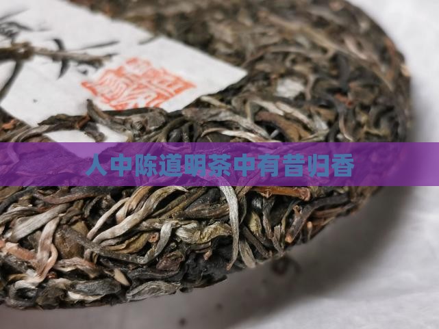 人中陈道明茶中有昔归