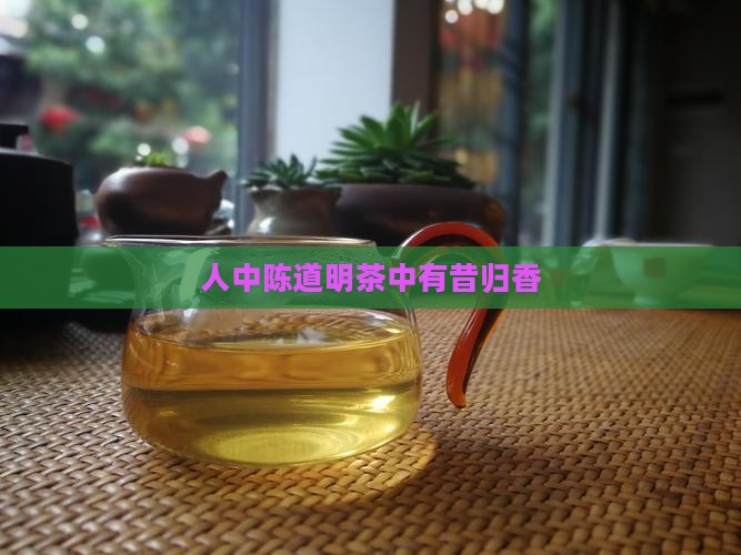 人中陈道明茶中有昔归