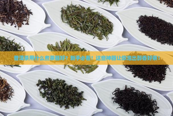 普洱茶用什么煮茶器好