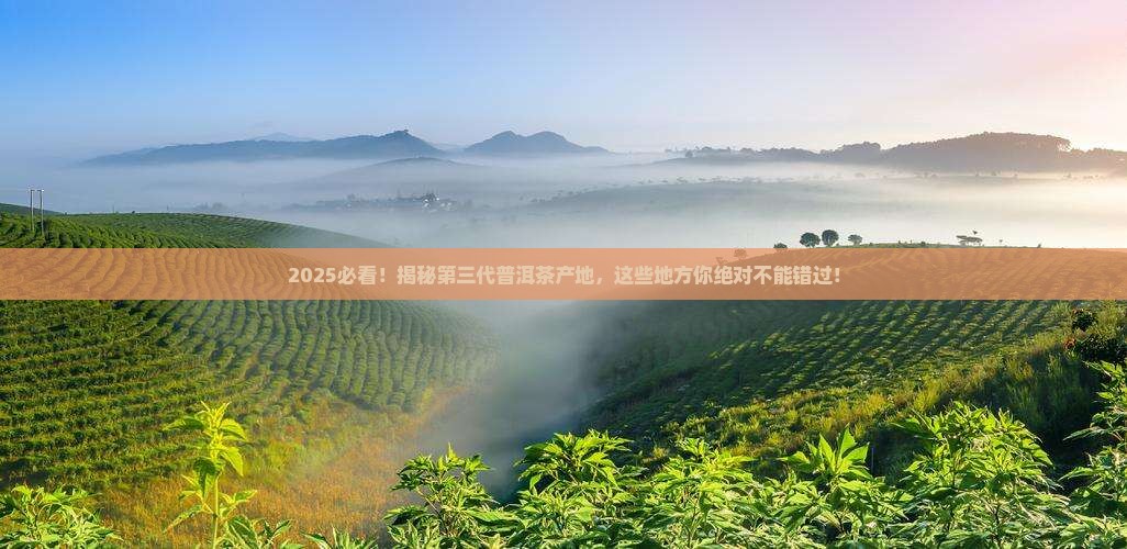 第三代普洱茶产地有哪些