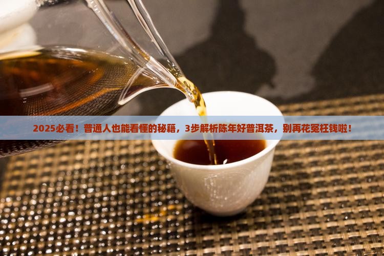 如何分辨陈年好普洱茶