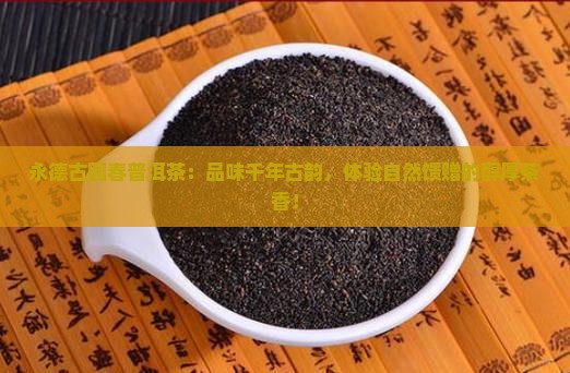 永德古园春普洱茶