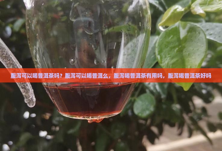 腹泻可以喝普洱