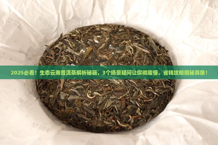 生态云南普洱茶