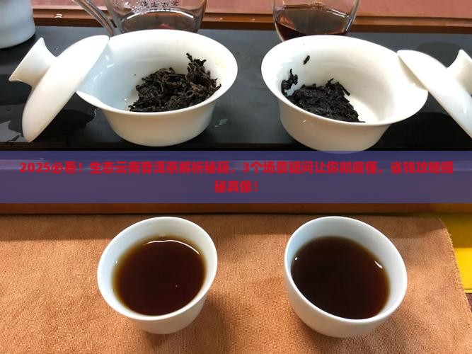 生态云南普洱茶