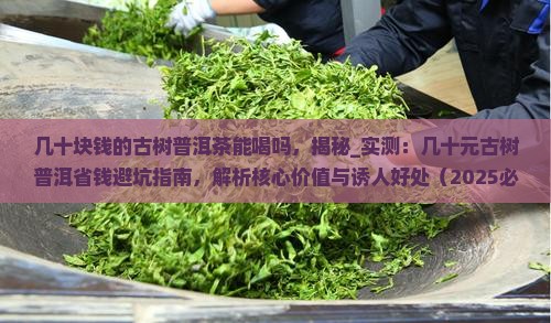 几十块钱的古树普洱茶能喝吗