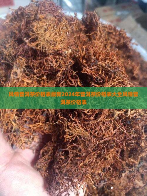 风情普洱茶价格表