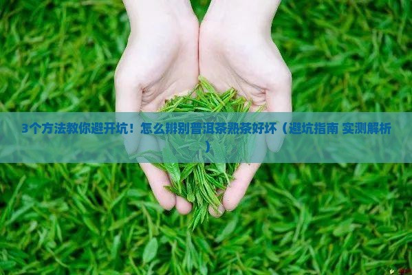 怎么辨别普洱茶熟茶好坏