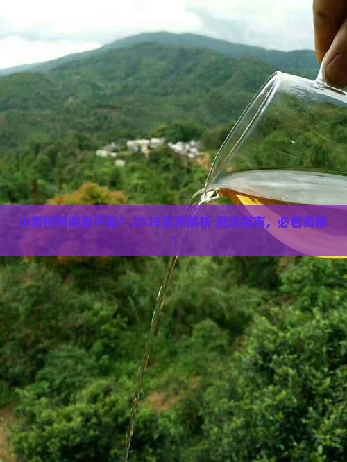 中茶小青柑怎么样