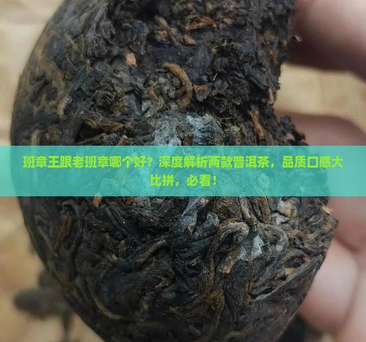 班章王跟老班章哪个好