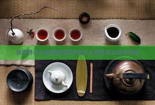 张家界莓茶属于什么茶