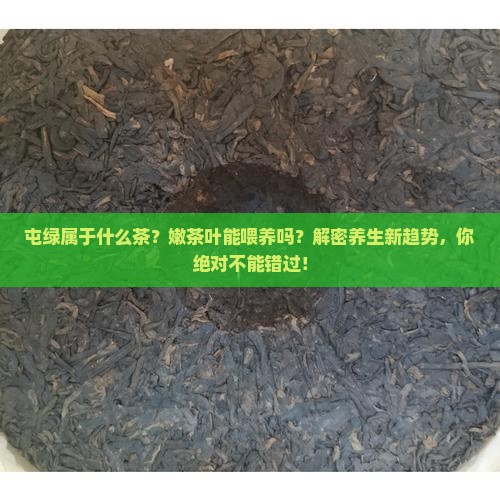 屯绿属于什么茶嫩茶叶能喂养吗