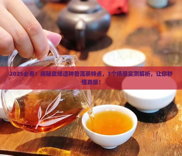 武候遗种普洱茶特点