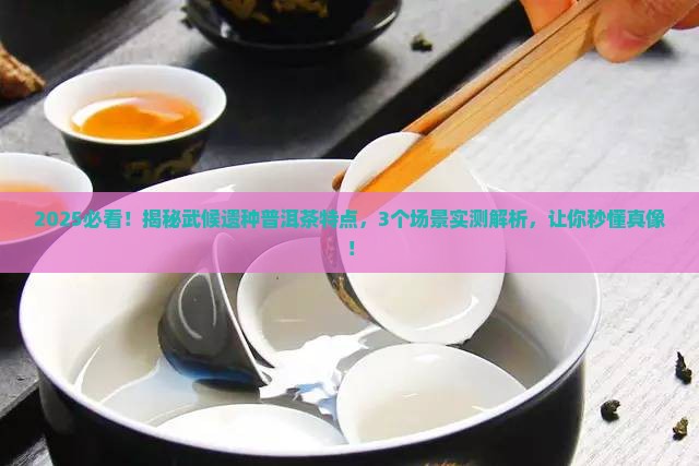 武候遗种普洱茶特点