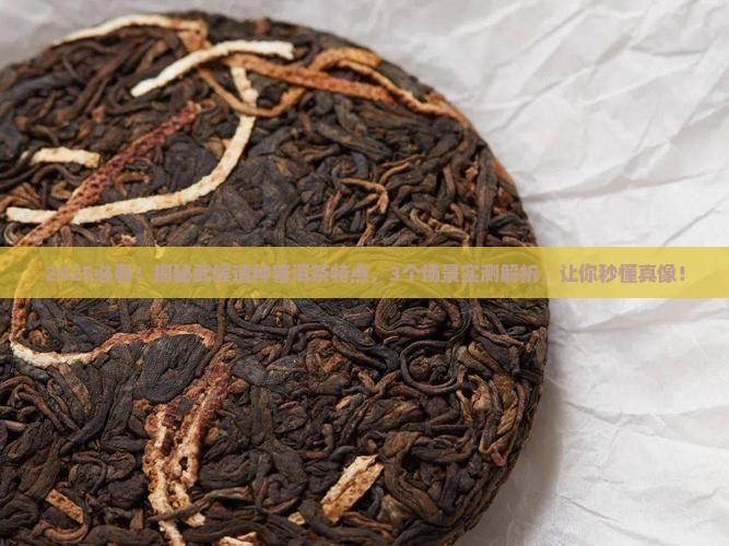 武候遗种普洱茶特点