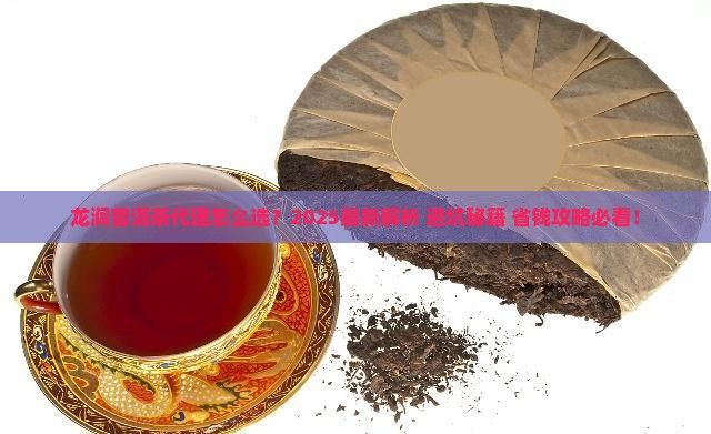 龙润普洱茶代理