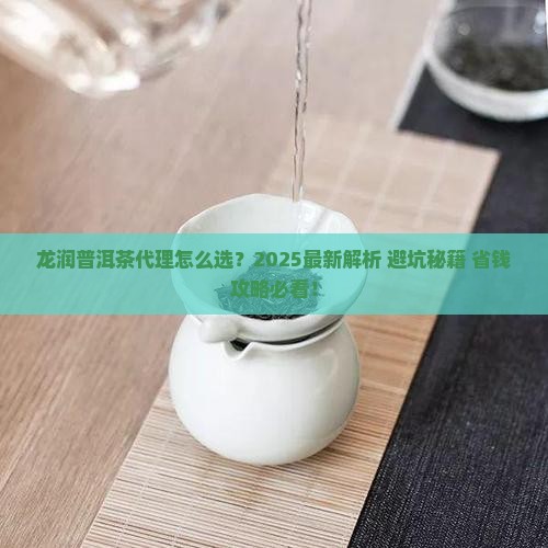 龙润普洱茶代理