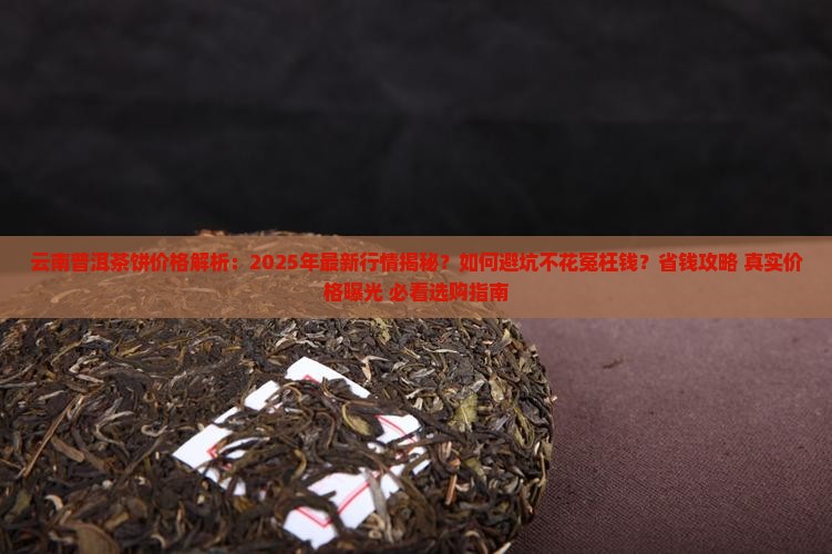 云南普洱茶饼得价格