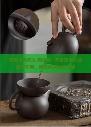 紫普洱茶怎么泡