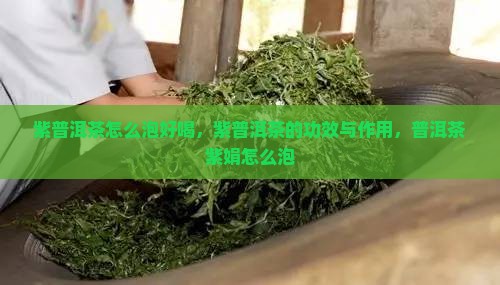 紫普洱茶怎么泡