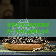 云南古驿工贸普洱茶极客