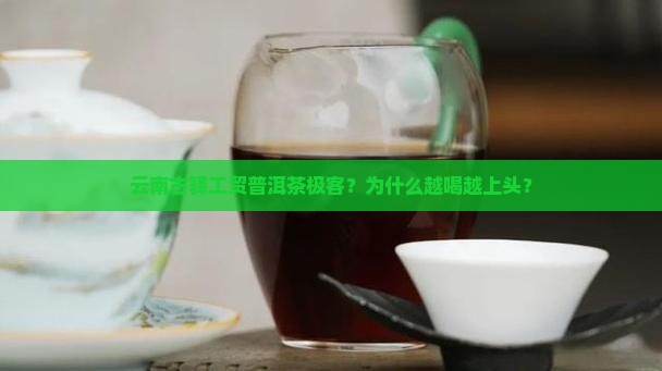 云南古驿工贸普洱茶极客