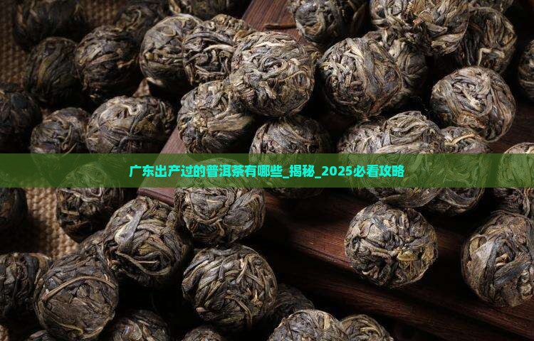 广东出产过的普洱茶有哪些