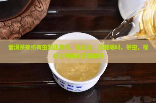普洱茶棉纸有虫洞