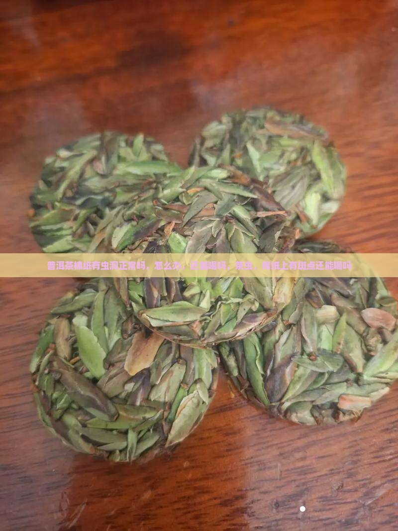 普洱茶棉纸有虫洞
