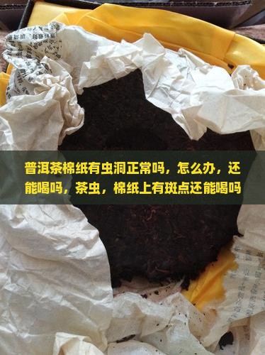 普洱茶棉纸有虫洞
