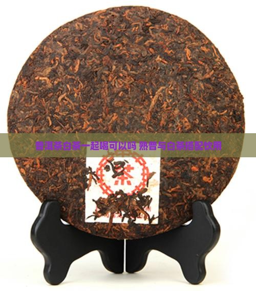 熟普洱茶加白茶可以喝吗