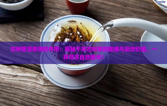 古树普洱茶饼的作用