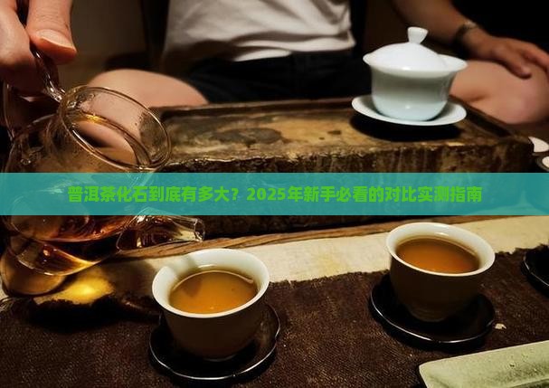 普洱茶化石大小对比