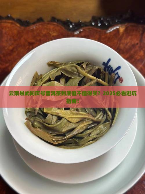 云南易武同庆号普洱茶有限公司