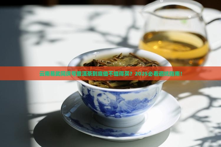 云南易武同庆号普洱茶有限公司