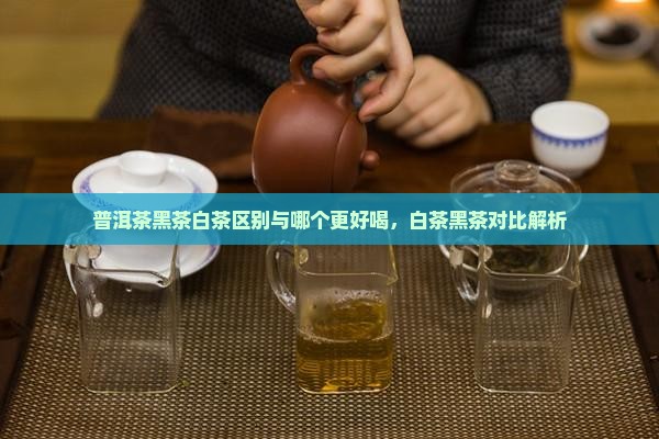 普洱茶黑茶白茶