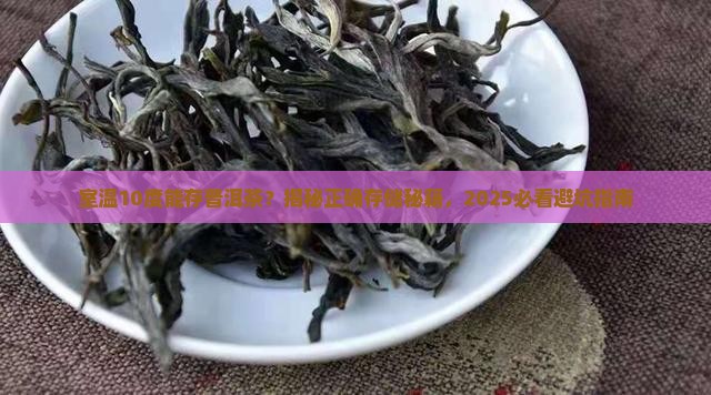 室温10度存储普洱茶