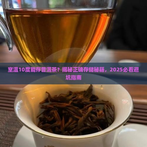 室温10度存储普洱茶