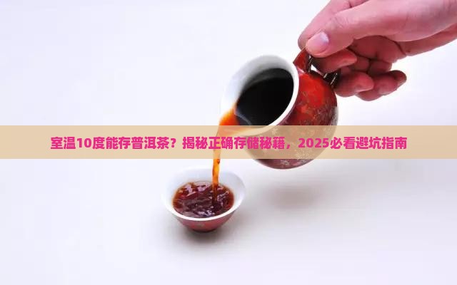 室温10度存储普洱茶