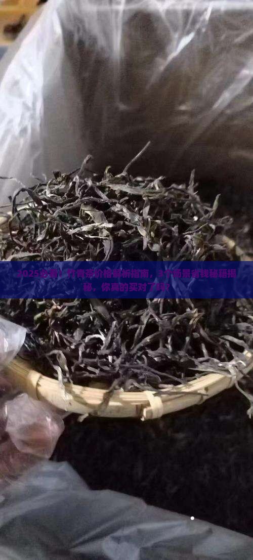 论道竹青茶价格