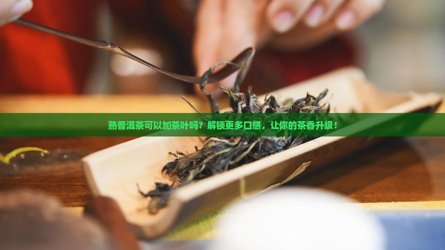 熟普洱茶可以加茶叶吗