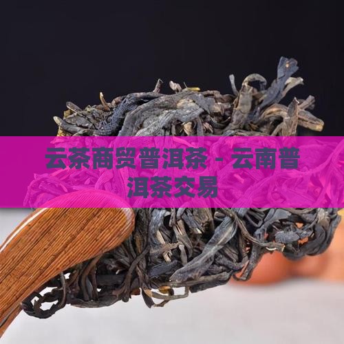 云茶商贸普洱茶
