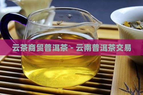 云茶商贸普洱茶