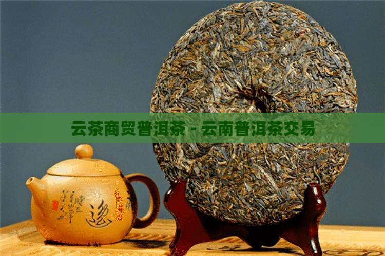 云茶商贸普洱茶