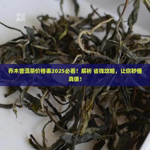 乔木普洱茶价格表