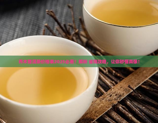 乔木普洱茶价格表